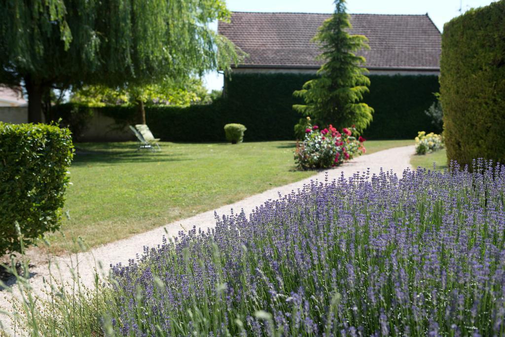 Hotel L'Oree Des Vignes Gilly-les-Citeaux Exterior photo